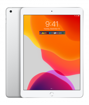 Apple iPad 9.7-inch A10 Chip Wi-fi 128GB